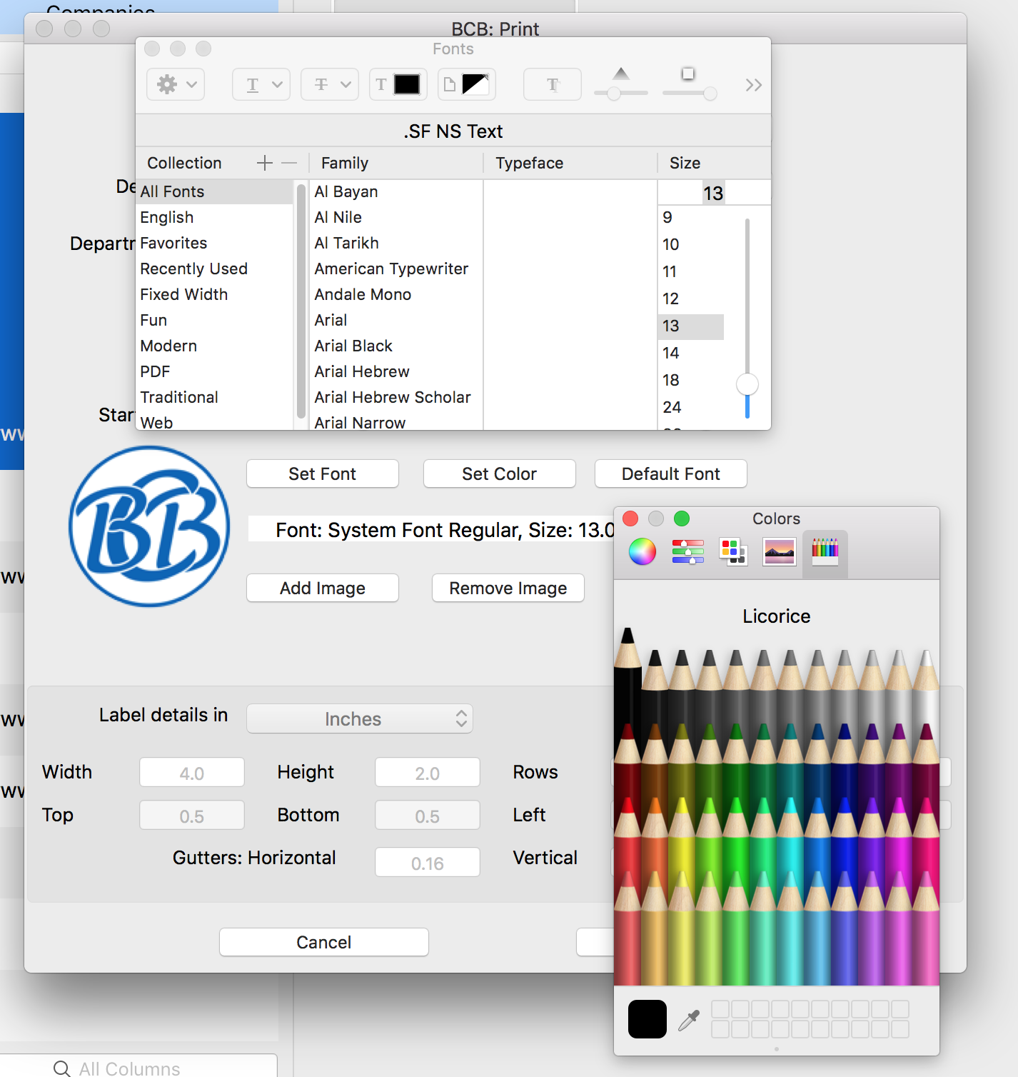 Customize mailing labels by adding an image and changing font size and color