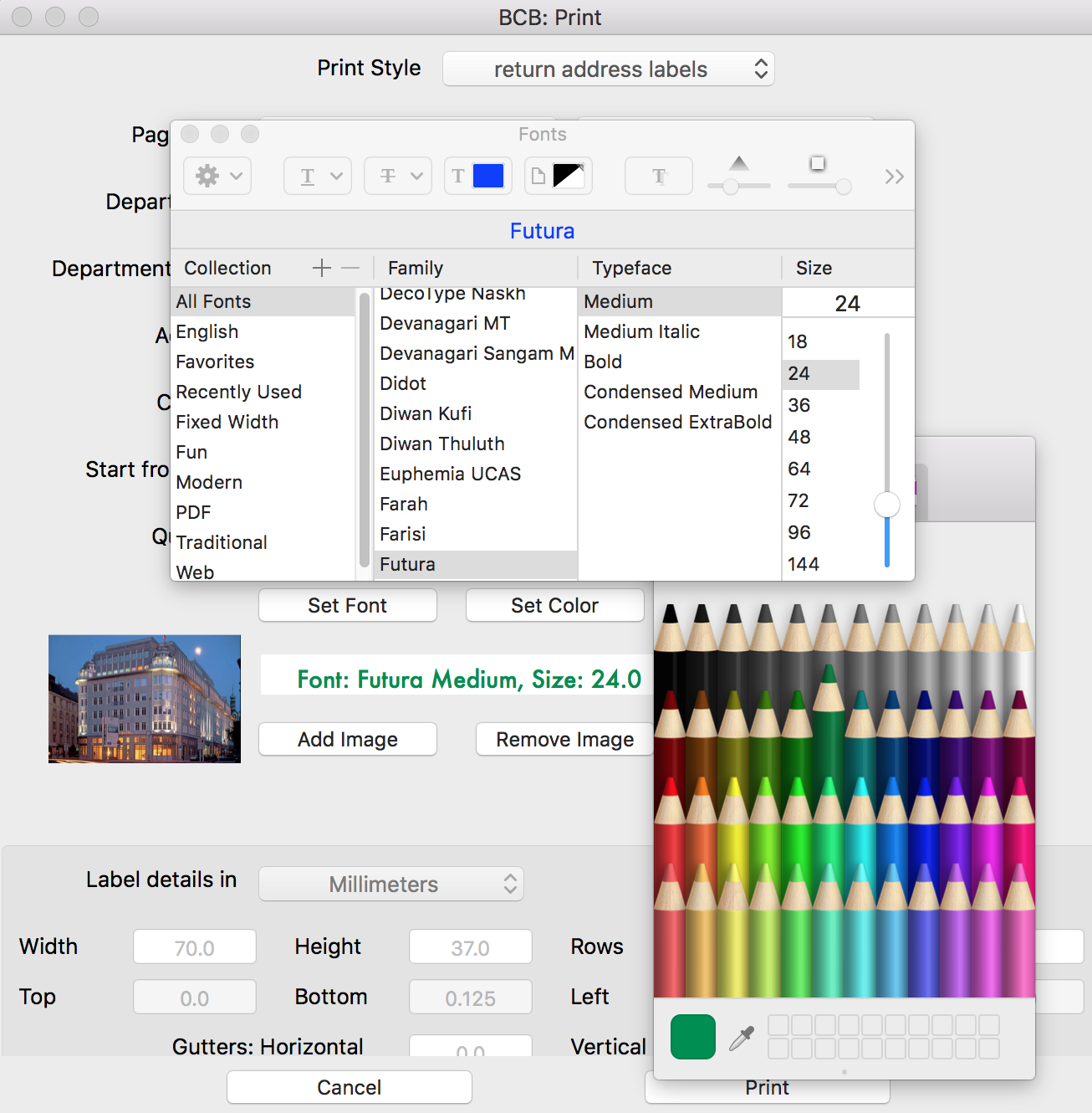 Customize mailing labels by adding an image and changing font size and color